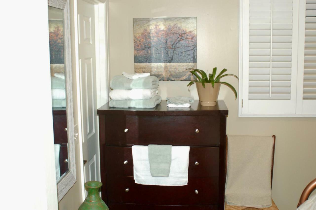 Blue Bear Den 3Br 2Ba Dtc Private Apt Hot Tub Εξωτερικό φωτογραφία