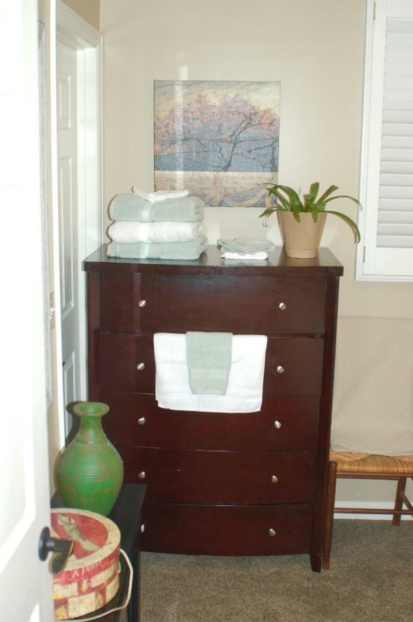 Blue Bear Den 3Br 2Ba Dtc Private Apt Hot Tub Εξωτερικό φωτογραφία